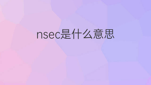 nsec是什么意思 nsec的中文翻译、读音、例句