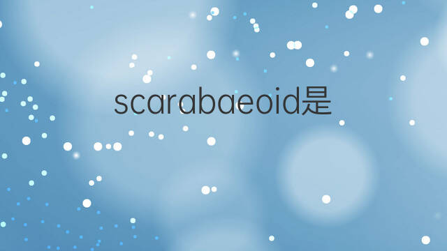 scarabaeoid是什么意思 scarabaeoid的中文翻译、读音、例句