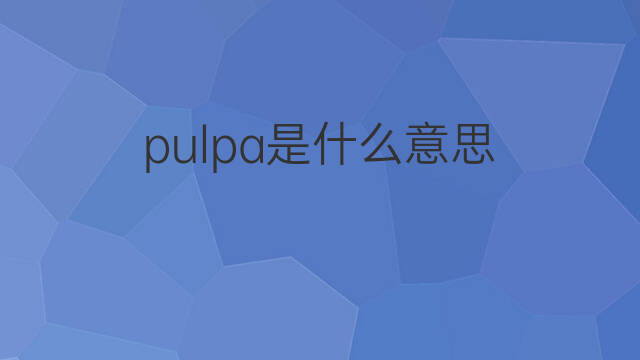 pulpa是什么意思 pulpa的中文翻译、读音、例句