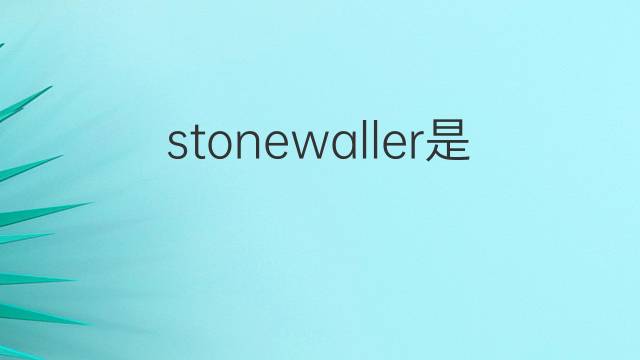 stonewaller是什么意思 stonewaller的中文翻译、读音、例句