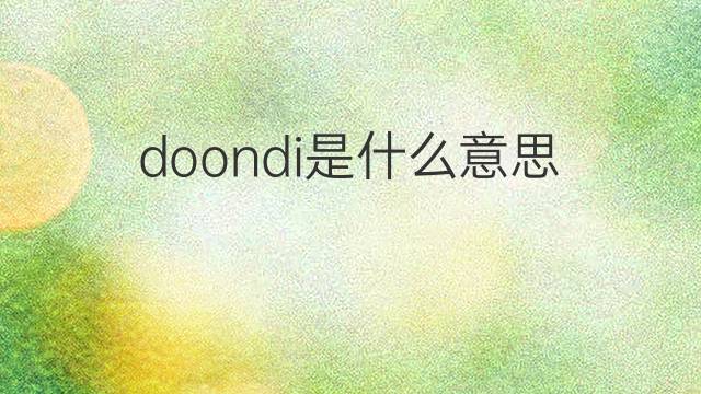 doondi是什么意思 doondi的中文翻译、读音、例句
