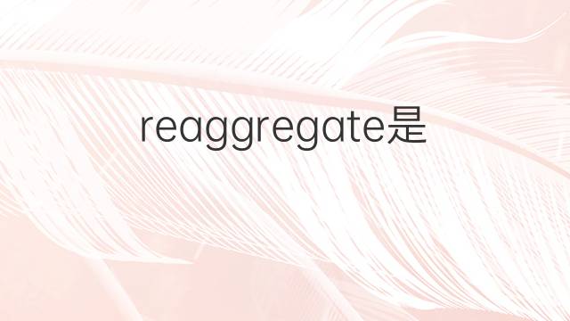reaggregate是什么意思 reaggregate的中文翻译、读音、例句