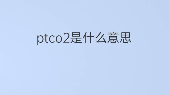 ptco2是什么意思 ptco2的中文翻译、读音、例句