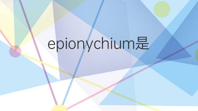 epionychium是什么意思 epionychium的中文翻译、读音、例句