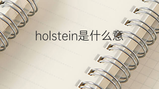 holstein是什么意思 holstein的中文翻译、读音、例句