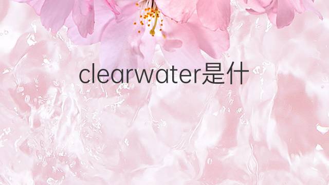 clearwater是什么意思 clearwater的中文翻译、读音、例句