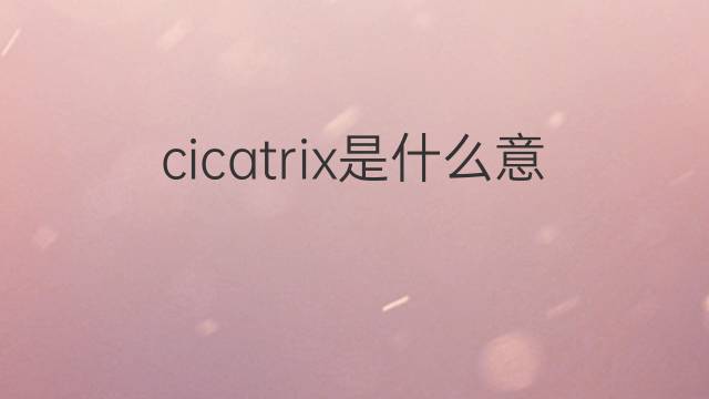 cicatrix是什么意思 cicatrix的中文翻译、读音、例句