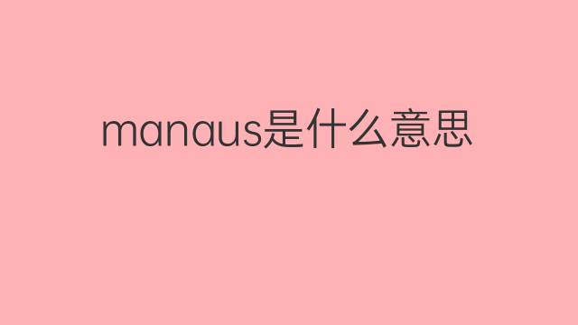 manaus是什么意思 manaus的中文翻译、读音、例句
