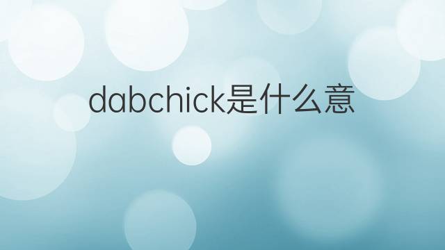 dabchick是什么意思 dabchick的中文翻译、读音、例句