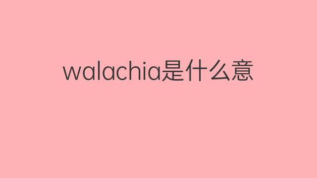 walachia是什么意思 walachia的中文翻译、读音、例句