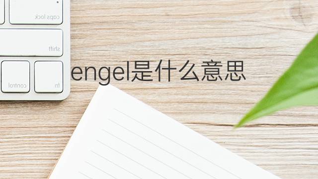 engel是什么意思 engel的中文翻译、读音、例句