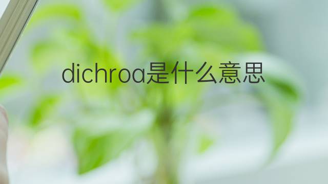 dichroa是什么意思 dichroa的中文翻译、读音、例句