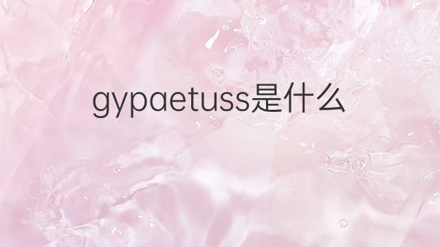 gypaetuss是什么意思 gypaetuss的中文翻译、读音、例句