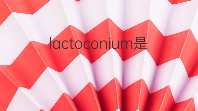 lactoconium是什么意思 lactoconium的中文翻译、读音、例句