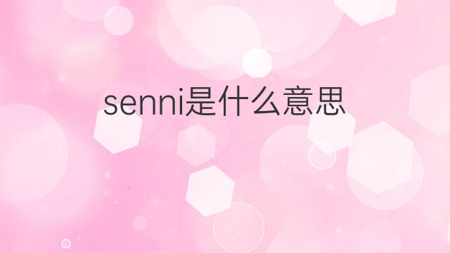 senni是什么意思 senni的中文翻译、读音、例句