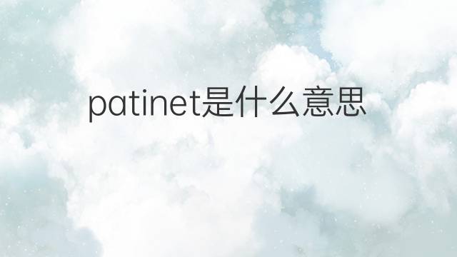 patinet是什么意思 patinet的中文翻译、读音、例句