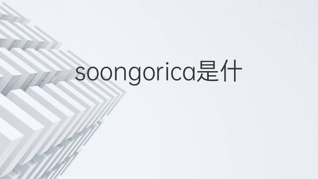 soongorica是什么意思 soongorica的中文翻译、读音、例句