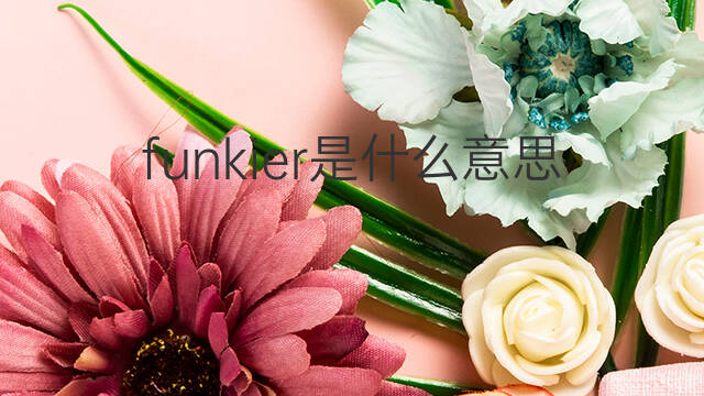 funkier是什么意思 funkier的中文翻译、读音、例句