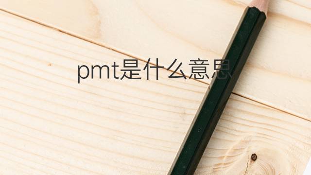 pmt是什么意思 pmt的中文翻译、读音、例句