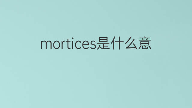 mortices是什么意思 mortices的中文翻译、读音、例句