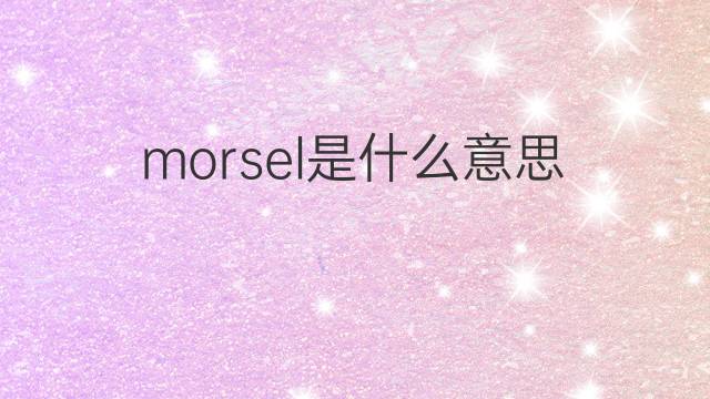 morsel是什么意思 morsel的中文翻译、读音、例句