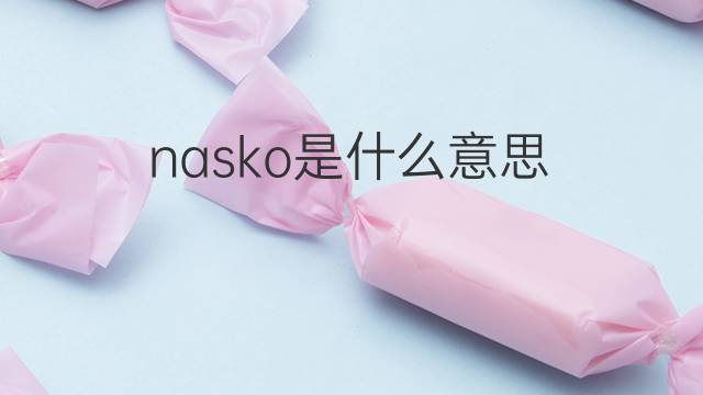 nasko是什么意思 nasko的中文翻译、读音、例句
