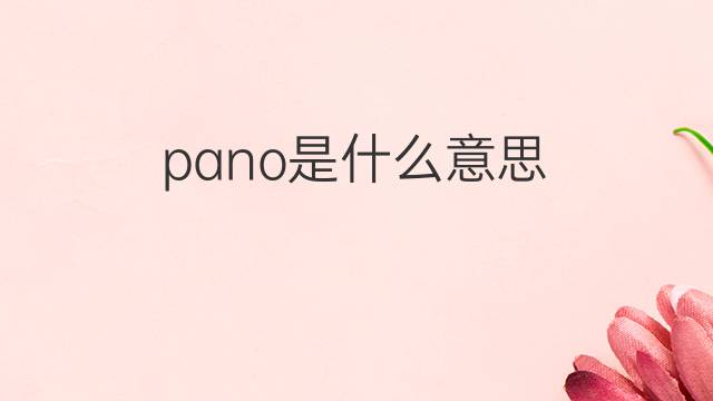 pano是什么意思 pano的中文翻译、读音、例句