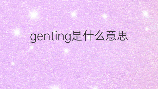 genting是什么意思 genting的中文翻译、读音、例句