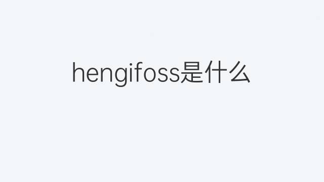 hengifoss是什么意思 hengifoss的中文翻译、读音、例句