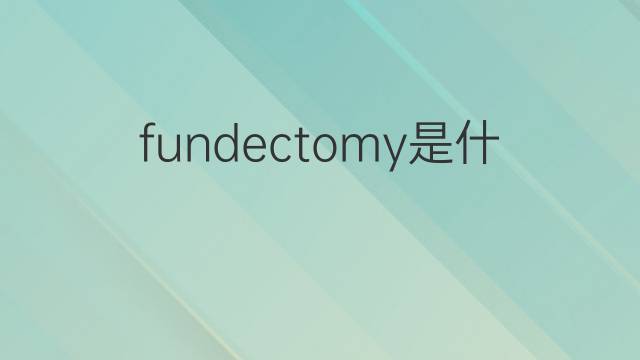 fundectomy是什么意思 fundectomy的中文翻译、读音、例句