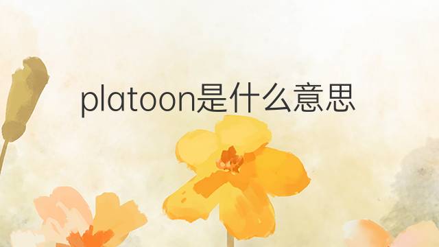 platoon是什么意思 platoon的中文翻译、读音、例句