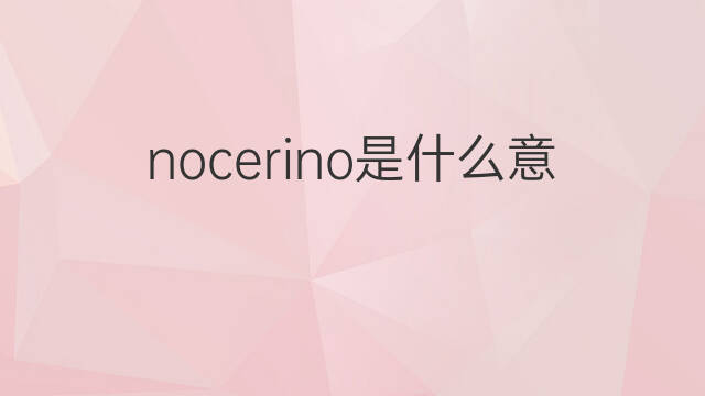 nocerino是什么意思 nocerino的中文翻译、读音、例句