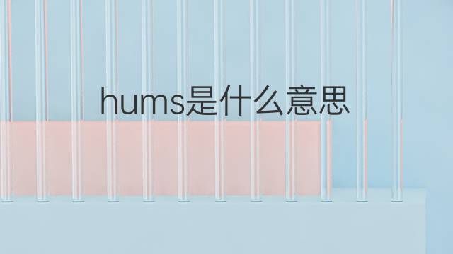 hums是什么意思 hums的中文翻译、读音、例句