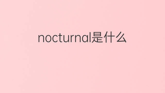 nocturnal是什么意思 nocturnal的中文翻译、读音、例句