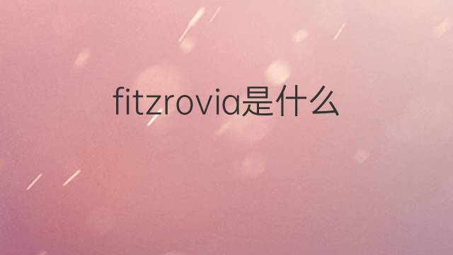 fitzrovia是什么意思 fitzrovia的中文翻译、读音、例句