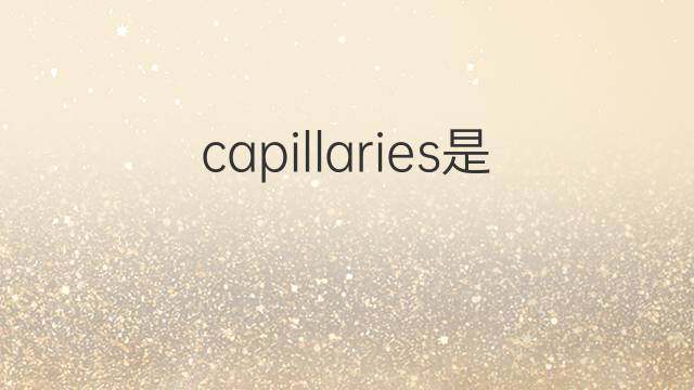 capillaries是什么意思 capillaries的中文翻译、读音、例句