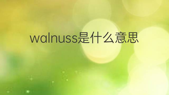 walnuss是什么意思 walnuss的中文翻译、读音、例句