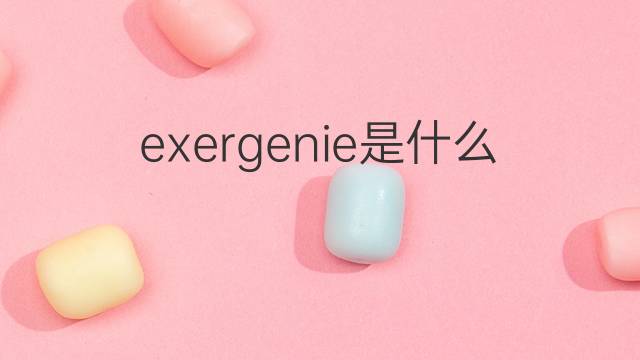 exergenie是什么意思 exergenie的中文翻译、读音、例句