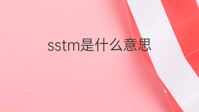 sstm是什么意思 sstm的中文翻译、读音、例句