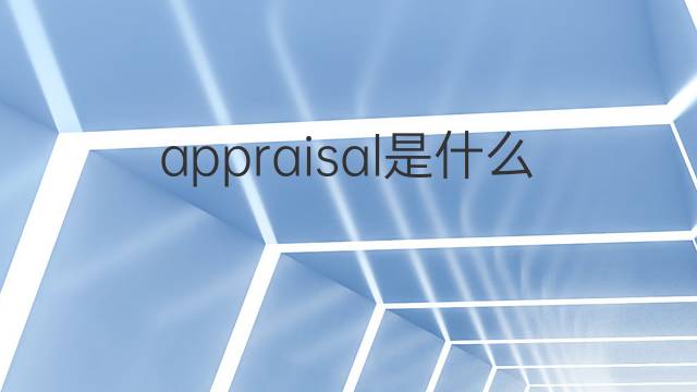 appraisal是什么意思 appraisal的中文翻译、读音、例句