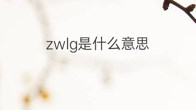 zwlg是什么意思 zwlg的中文翻译、读音、例句