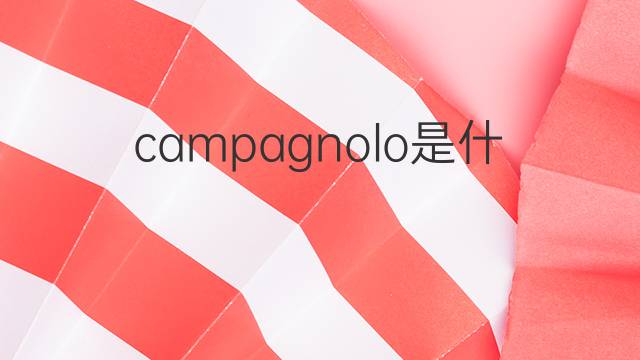campagnolo是什么意思 campagnolo的中文翻译、读音、例句