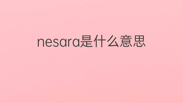 nesara是什么意思 nesara的中文翻译、读音、例句