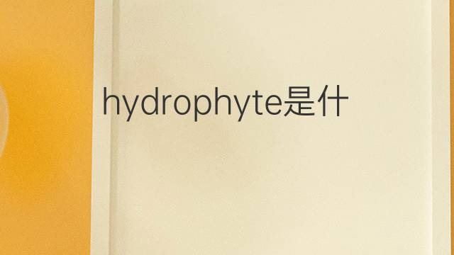 hydrophyte是什么意思 hydrophyte的中文翻译、读音、例句