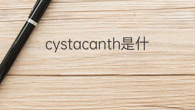 cystacanth是什么意思 cystacanth的中文翻译、读音、例句