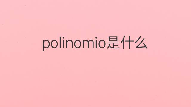 polinomio是什么意思 polinomio的中文翻译、读音、例句