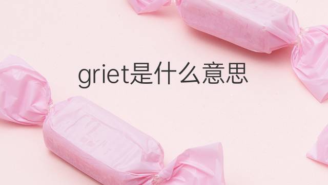 griet是什么意思 griet的中文翻译、读音、例句