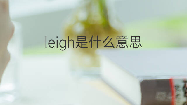 leigh是什么意思 leigh的中文翻译、读音、例句