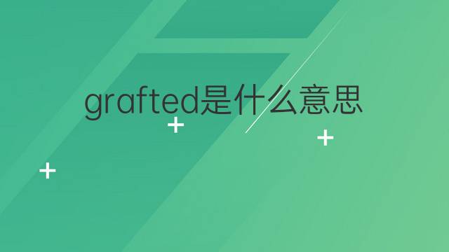 grafted是什么意思 grafted的中文翻译、读音、例句