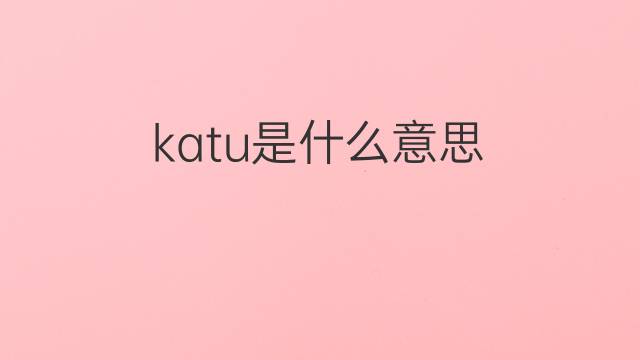 katu是什么意思 katu的中文翻译、读音、例句